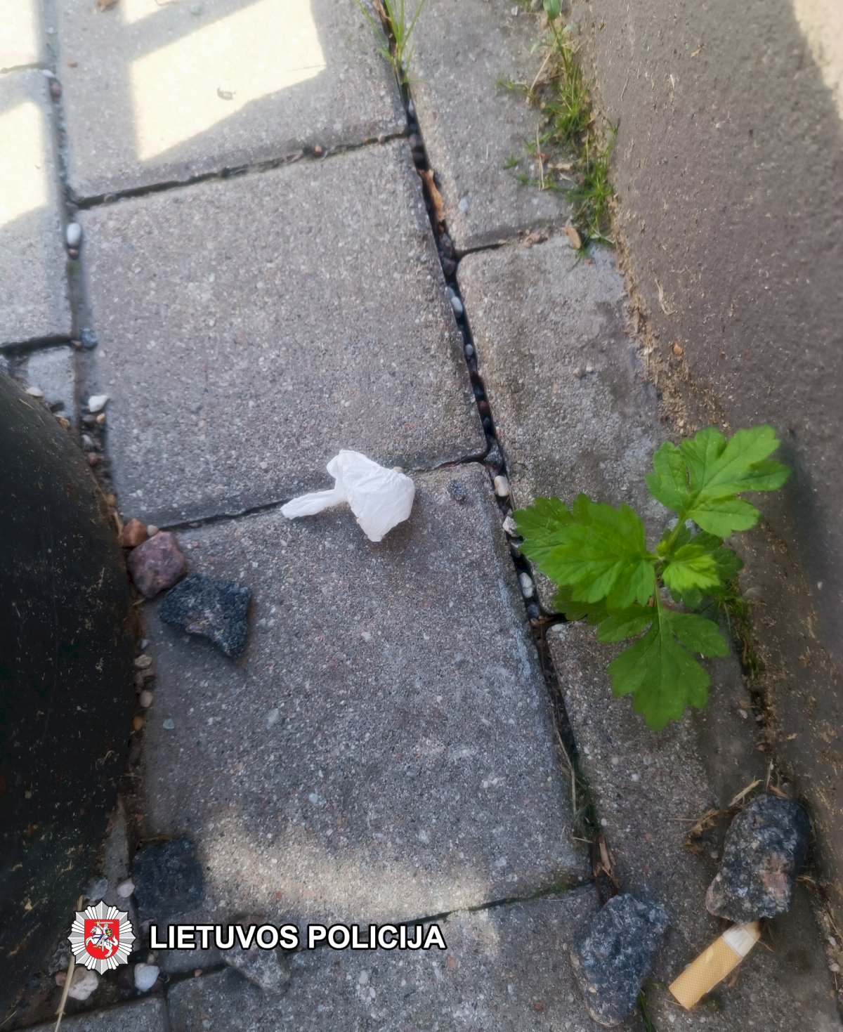 Kelių epizodų byla perduota į teismą