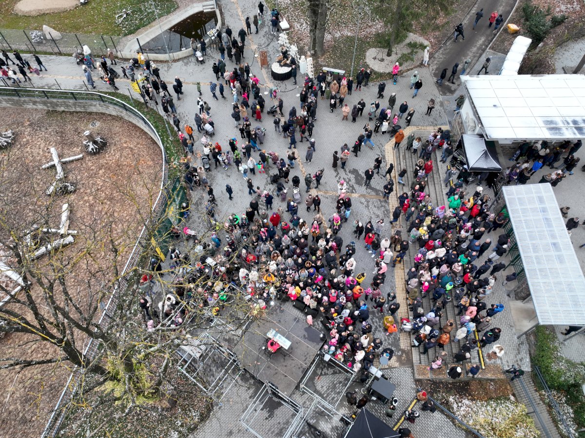 Rekordiniai metai po Lietuvos zoologijos sodo rekonstrukcijos